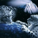 สมาชิกหมายเลข 3411529