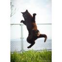 สมาชิกหมายเลข 4369442