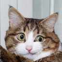 สมาชิกหมายเลข 5103964