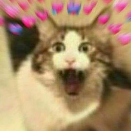 สมาชิกหมายเลข 5325495