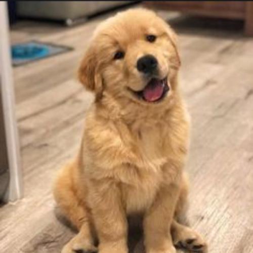 สมาชิกหมายเลข 6039171