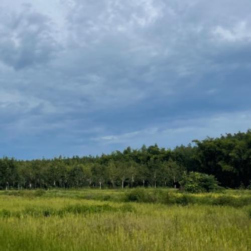 สมาชิกหมายเลข 3717156