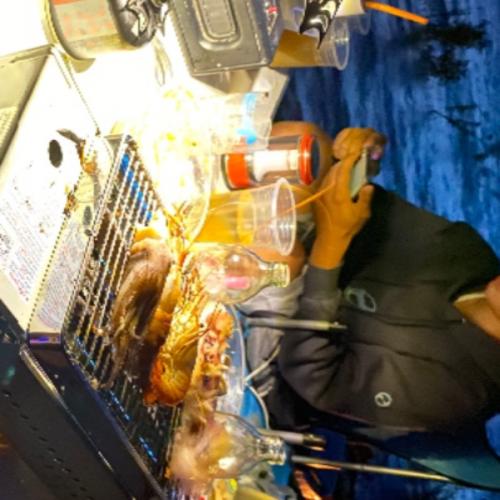 สมาชิกหมายเลข 7402374