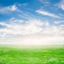 สมาชิกหมายเลข 3905210