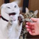 สมาชิกหมายเลข 3794643