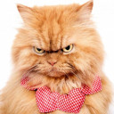 สมาชิกหมายเลข 4369967