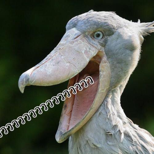 สมาชิกหมายเลข 4067363