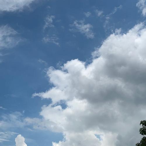 สมาชิกหมายเลข 6655141