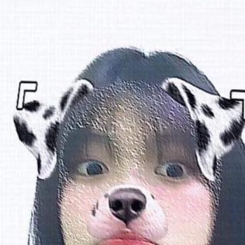 สมาชิกหมายเลข 7403754