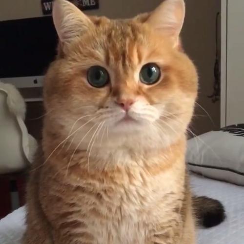 สมาชิกหมายเลข 2194076