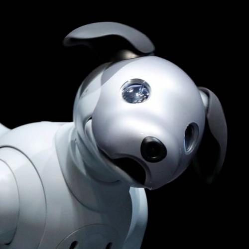 สมาชิกหมายเลข 4370008