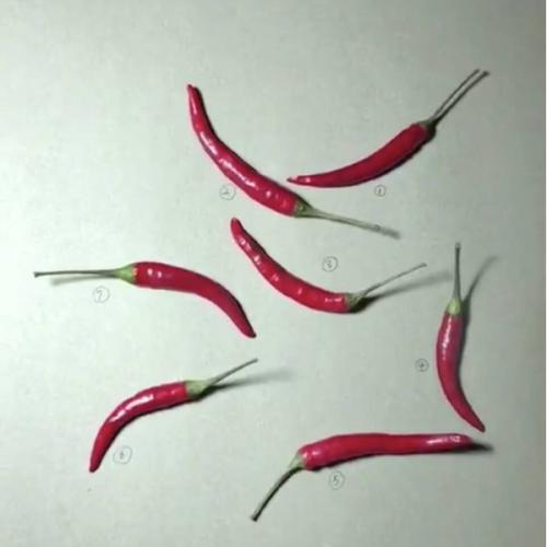 สมาชิกหมายเลข 2479420