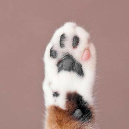 สมาชิกหมายเลข 5107656