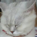 สมาชิกหมายเลข 5498042