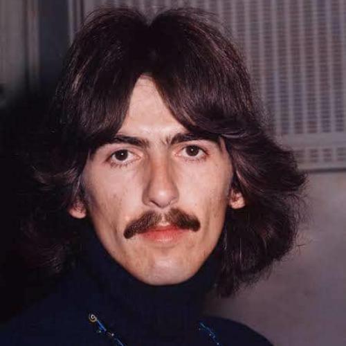 สมาชิกหมายเลข 4534903