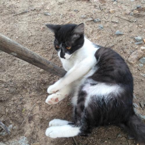 สมาชิกหมายเลข 5263611