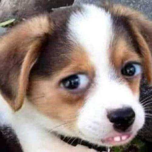 สมาชิกหมายเลข 5319687