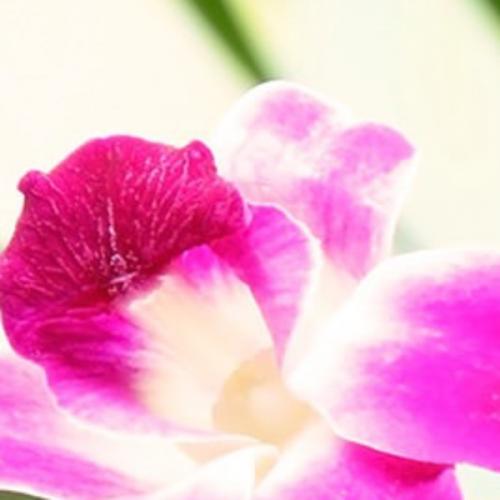 สมาชิกหมายเลข 6005001