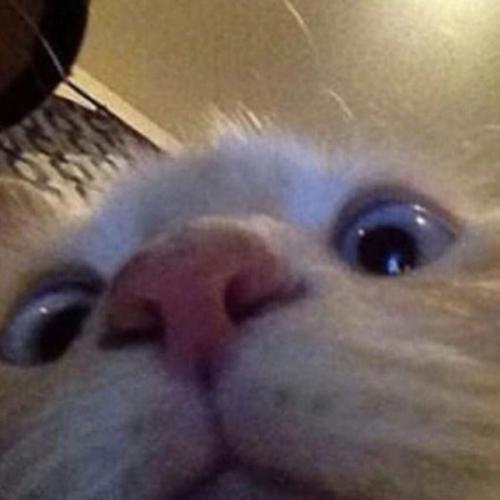 สมาชิกหมายเลข 6040917