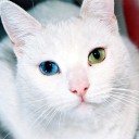 สมาชิกหมายเลข 3905958