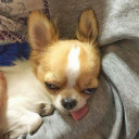 สมาชิกหมายเลข 2729951