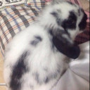 สมาชิกหมายเลข 5498570