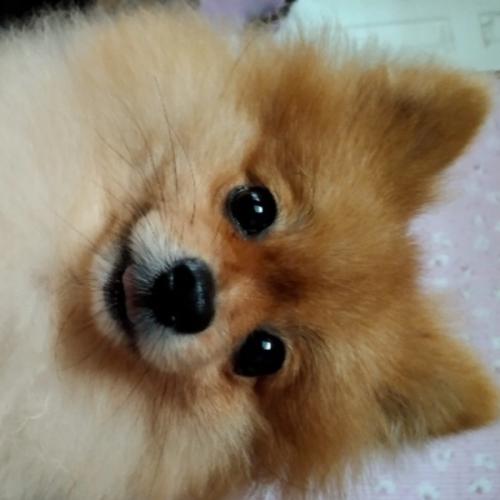 สมาชิกหมายเลข 5534322