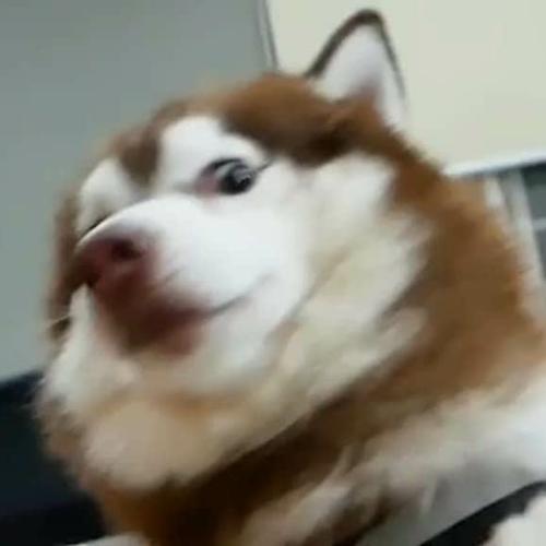 สมาชิกหมายเลข 5952374