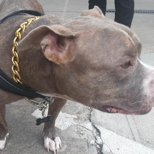 สมาชิกหมายเลข 6040816