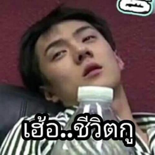 สมาชิกหมายเลข 6040955