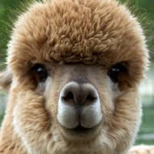 สมาชิกหมายเลข 2768560