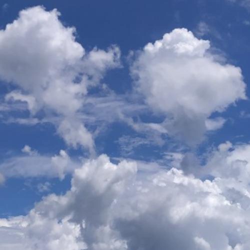 สมาชิกหมายเลข 3405776