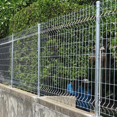 สมาชิกหมายเลข 7404789