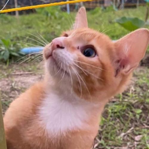 สมาชิกหมายเลข 7404980