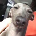 สมาชิกหมายเลข 837090