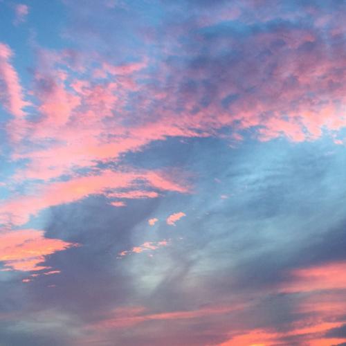 สมาชิกหมายเลข 1861985