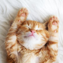 สมาชิกหมายเลข 3924615