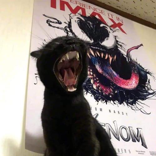 สมาชิกหมายเลข 5498900