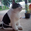 สมาชิกหมายเลข 761352