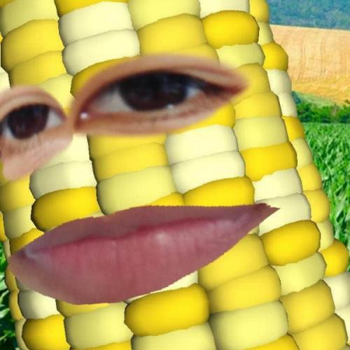 สมาชิกหมายเลข 5819173