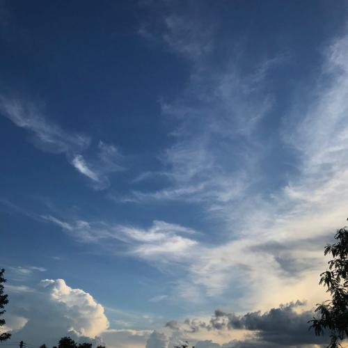 สมาชิกหมายเลข 6039177