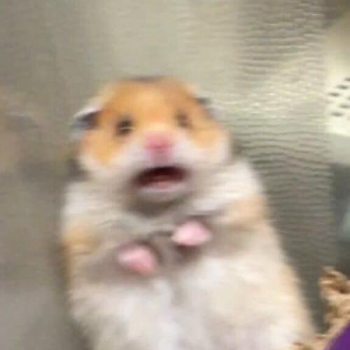 สมาชิกหมายเลข 6041677