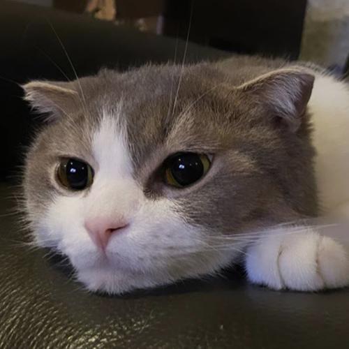 สมาชิกหมายเลข 6041859