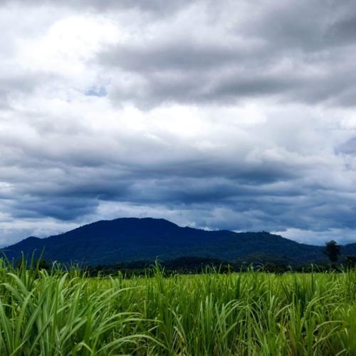 สมาชิกหมายเลข 7405741