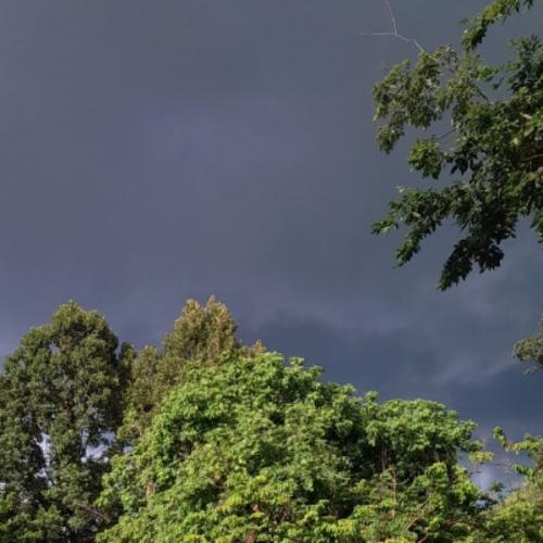 สมาชิกหมายเลข 8004241