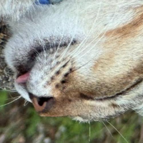 สมาชิกหมายเลข 8290050