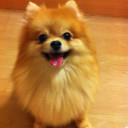 สมาชิกหมายเลข 4371763