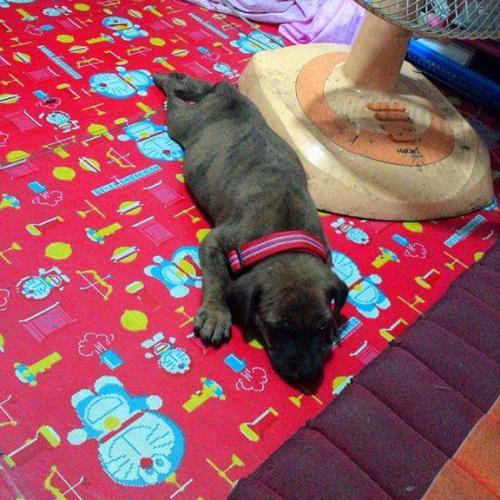 สมาชิกหมายเลข 4049825