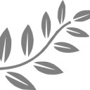 สมาชิกหมายเลข 4713161