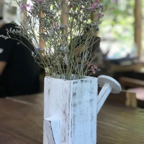 เมืองแดดฝนลมหนาว